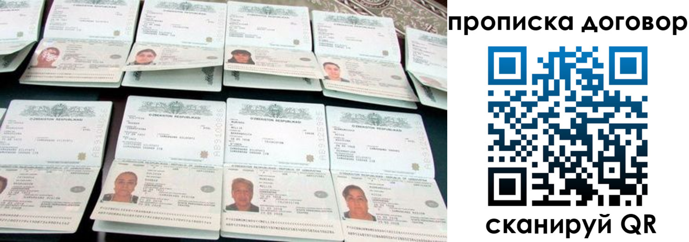 прописка для школы в Новосибирской области